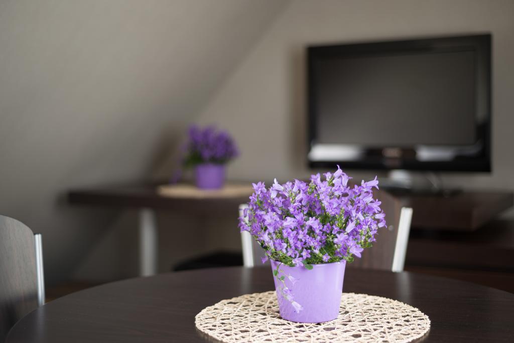 Apartment Vela 2min Plaza Hryniewieckiego